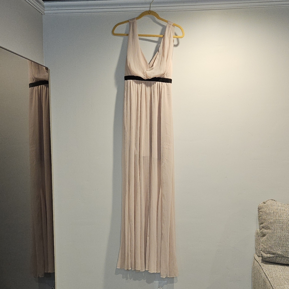 Alice + Olivia Blush Maxi Dress with Black Accent